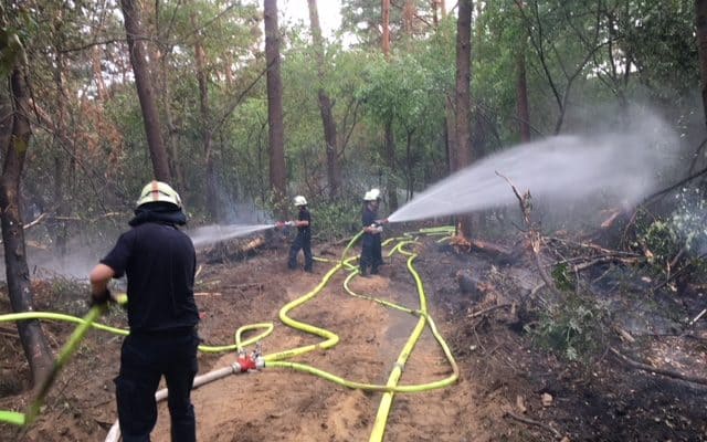 Waldbrand Straelen